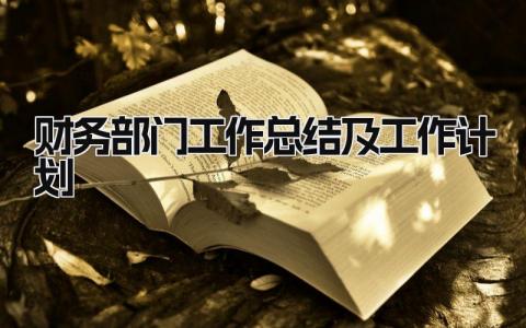 财务部门工作总结及工作计划 精选16篇