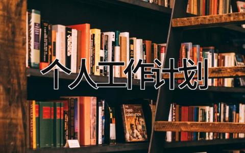 个人工作计划 精选20篇