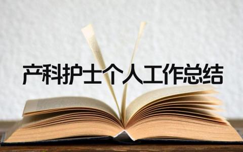 产科护士个人工作总结 精选14篇