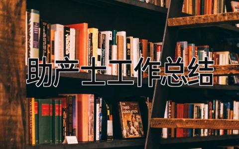 助产士工作总结 精选8篇