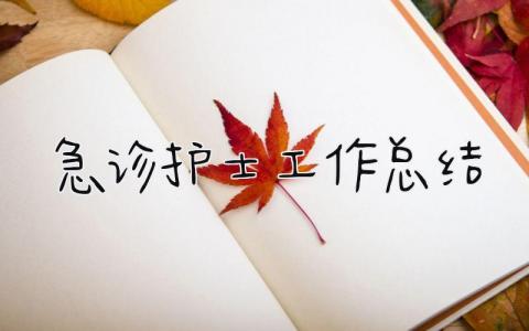 急诊护士工作总结 精选18篇