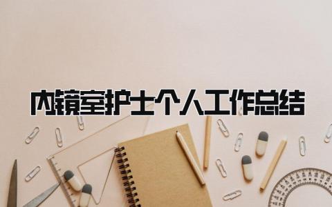 内镜室护士个人工作总结 精选4篇