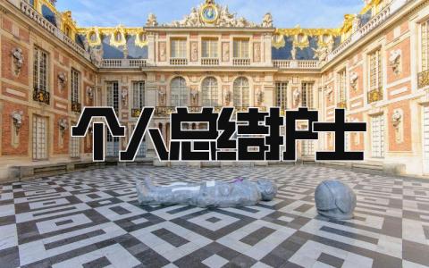 个人总结护士 精选18篇