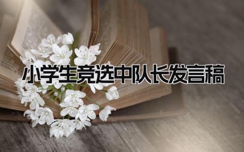 小学生竞选中队长发言稿 精选3篇