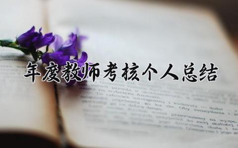 2025年度教师考核个人总结 精选14篇