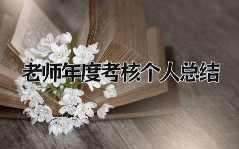 老师年度考核个人总结 精选10篇