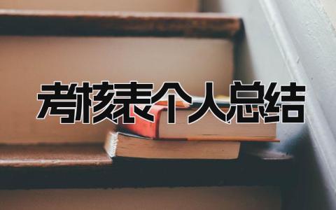 考核表个人总结 精选16篇