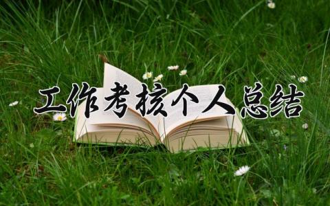 工作考核个人总结 精选18篇
