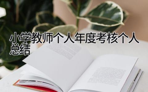 小学教师个人年度考核个人总结 精选14篇