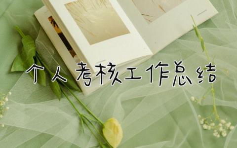 个人考核工作总结 精选17篇
