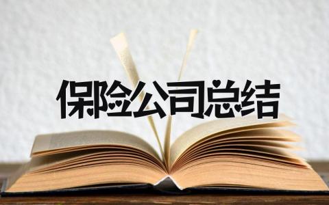 保险公司总结 精选18篇