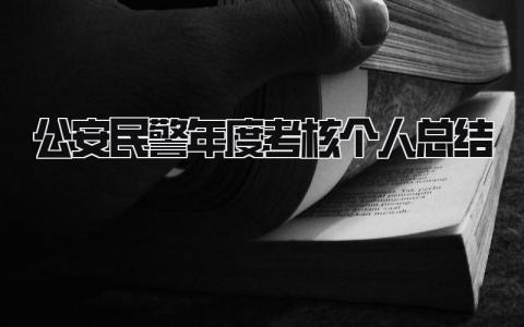 公安民警年度考核个人总结 精选11篇