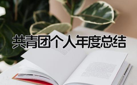 共青团个人年度总结 精选13篇