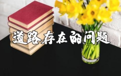 道路存在的问题及整改措施范文 道路问题分析及解决方案