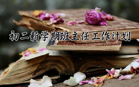 2025初二新学期班主任工作计划实施方案汇总