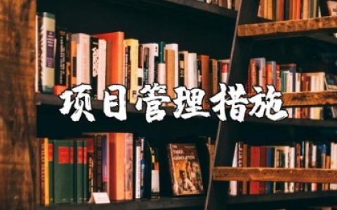 项目管理措施范文 项目管理制度及办法