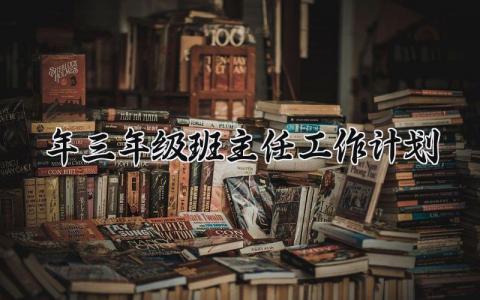 2025年三年级班主任工作计划 三年级优秀班主任工作安排 (3篇）
