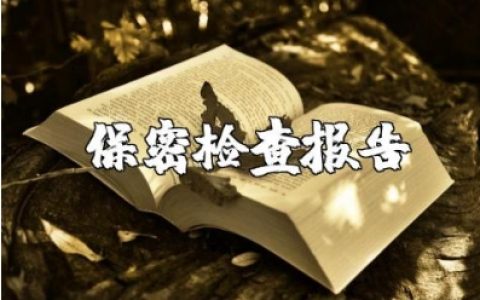 保密检查总结报告经典范文 专项保密检查情况汇报通用模板 