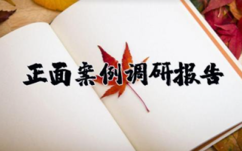 正面案例调研报告 正反面典型案例心得体会