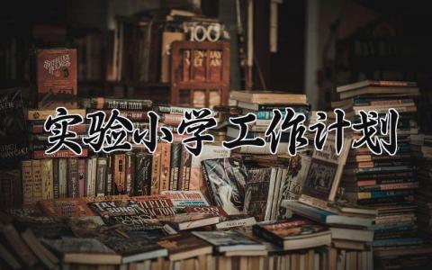 实验小学工作计划范文 实验小学下一步发展方向 (3篇）
