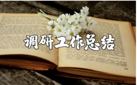 领导班子调研工作总结报告范文 领导班子调研工作进展汇报