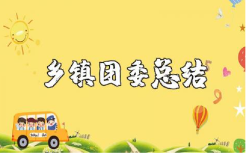 2025年乡镇团委工作总结范文 乡镇团委工作进展总结汇报