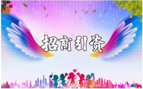招商引资工作存在的问题不足及整改措施建议范文