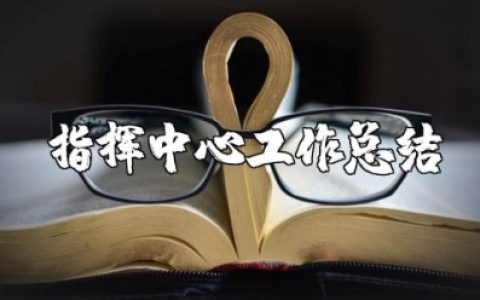 指挥中心工作总结范文 指挥中心工作情况汇报