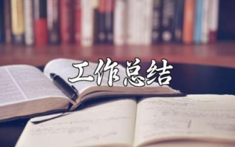 税务局收入核算股工作年终总结报告 税务收入核算总结汇报
