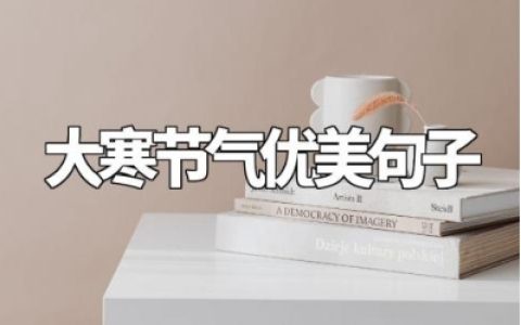 大寒节气的优美句子汇总关于大寒节气的朋友圈唯美文案合集