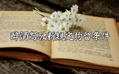 2025年醉酒驾驶新规定拘留条件及程序执行