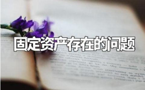 固定资产存在的问题及整改措施范文 固定资产方面的自查自纠报告汇总