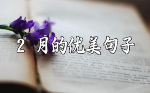 关于2月的优美句子合集 2月的唯美短句语录大全
