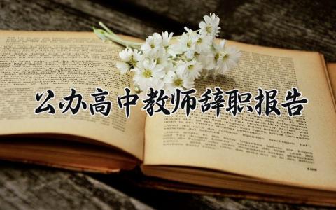 公办高中教师辞职报告 学校教师辞职信范文 (13篇）