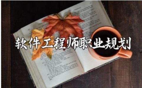 软件工程师职业规划书范文 软件工程师职业发展规划报告