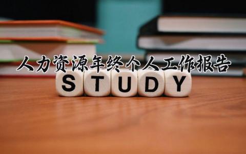 2025人力资源年终个人工作报告总结范文