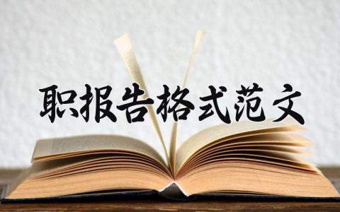 述职报告格式范文汇总 个人工作述职汇报模板