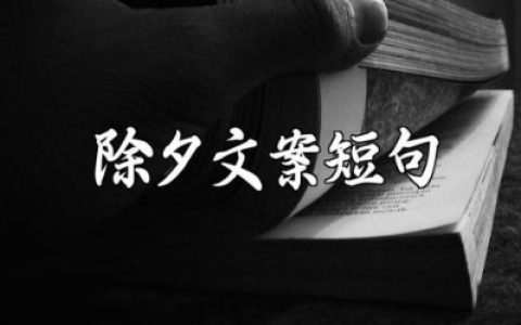 除夕干净治愈的文案短句大全 关于除夕夜的温暖句子合集