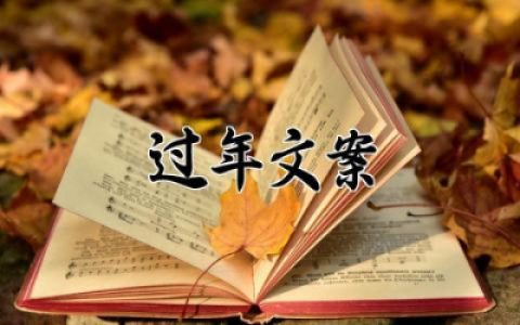过年文案高级感朋友圈 小众但惊艳的祝福新年文案