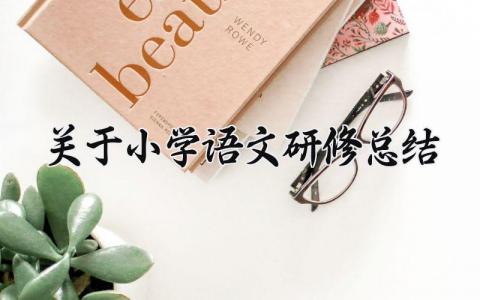 关于小学语文研修总结报告 小学语文研修总结范文怎么写