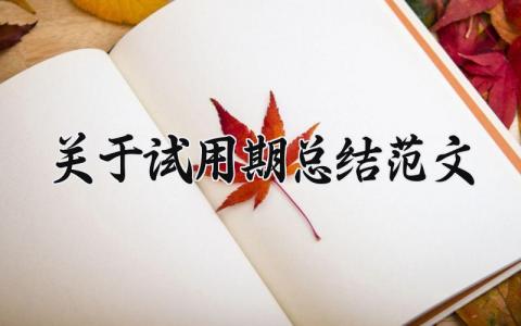 关于试用期的总结范文汇总 个人试用期总结感悟合集