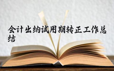 会计出纳试用期转正工作总结精选范文大全2025