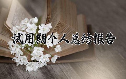 试用期个人总结报告2025范文 试用期工作总结报告模板大全