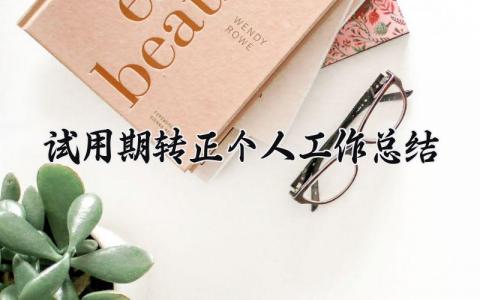 试用期转正个人工作总结范文 试用期转正工作进展汇报模板