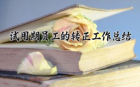 试用期员工的转正工作总结范文 个人试用期转正工作总结简短 (10篇）