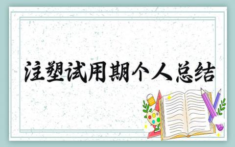 注塑试用期个人总结 注塑技术员试用期工作总结简短