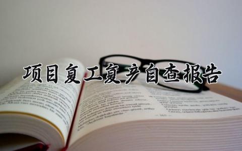 项目复工复产自查报告范文总结 项目复工复产自查报告怎么写
