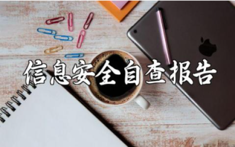 2025年信息安全自查报告范文 信息安全自查报告通用模板