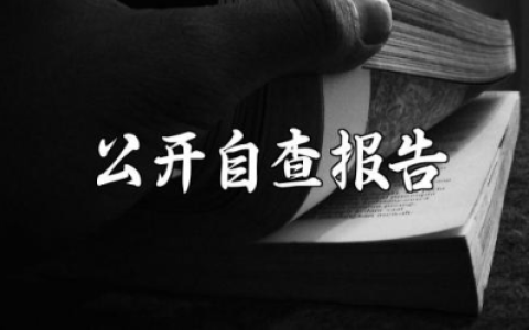 2025年政务公开自查报告范文 政务年终工作排查情况总结汇报