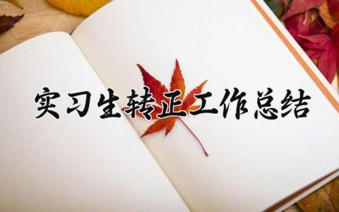 2025实习生转正工作总结精选 实习生转正工作总结优秀范文